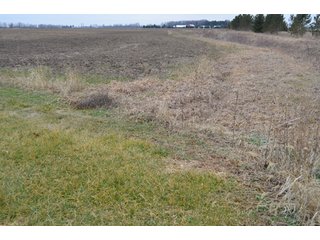 Property photo 65 - 175 Acres Offered in 5 Tracts - Tontogany, Ohio Farm Land Auction